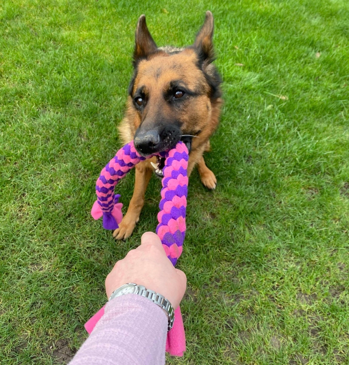 Jumbo - big breed hand made tug toy create your own dog toy