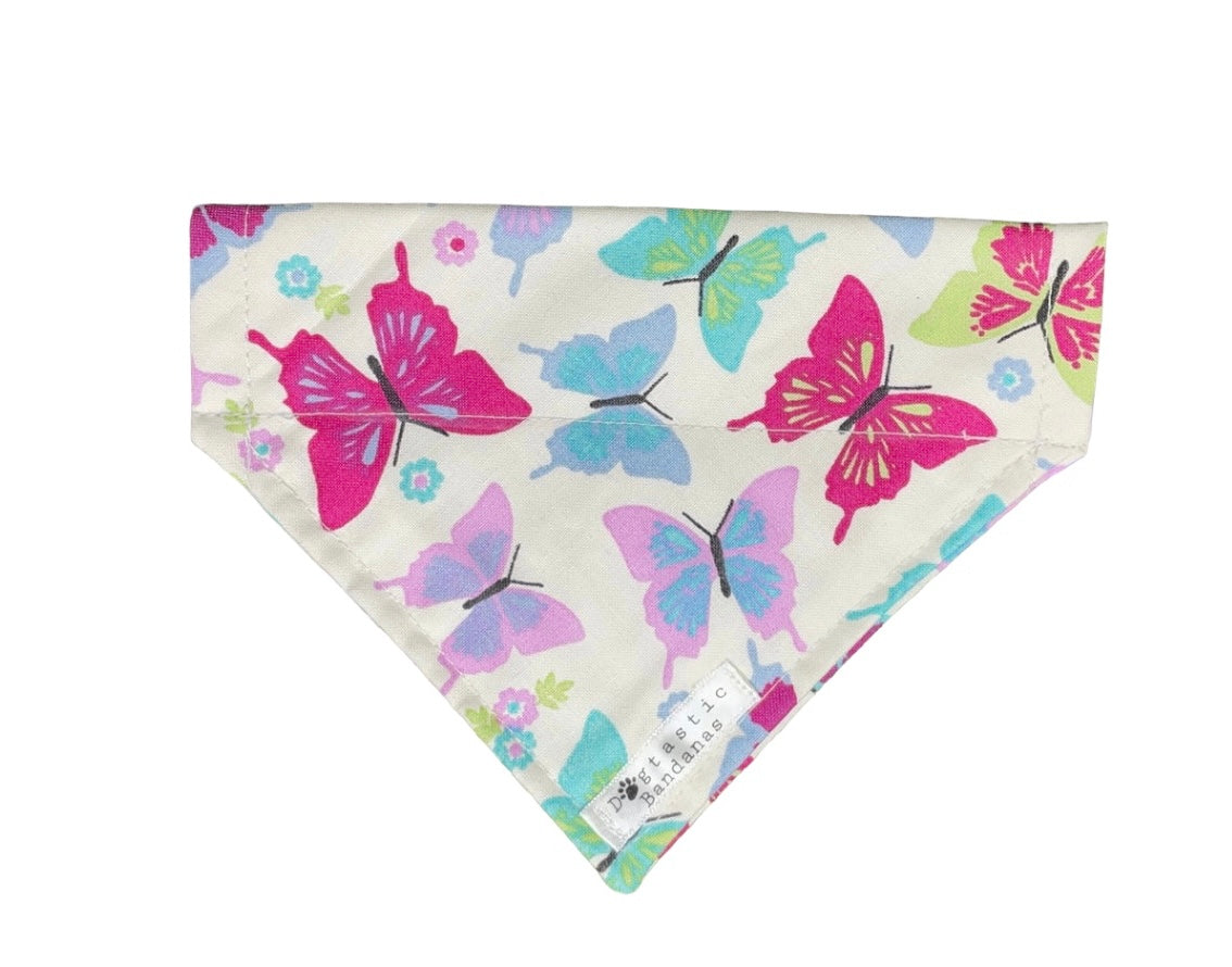 Butterflies dog/pet bandana