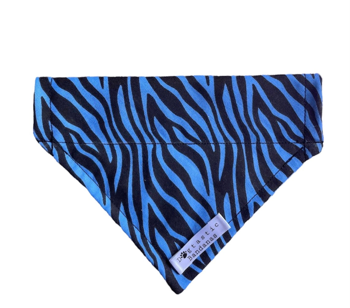 Blue zebra dog/pet bandana