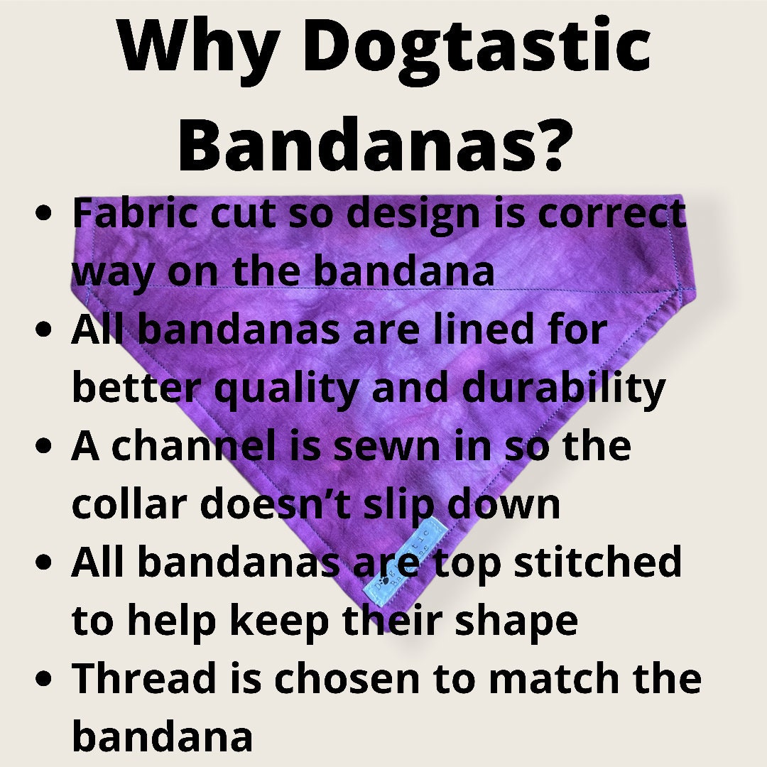 Blue daisy dog/pet bandana
