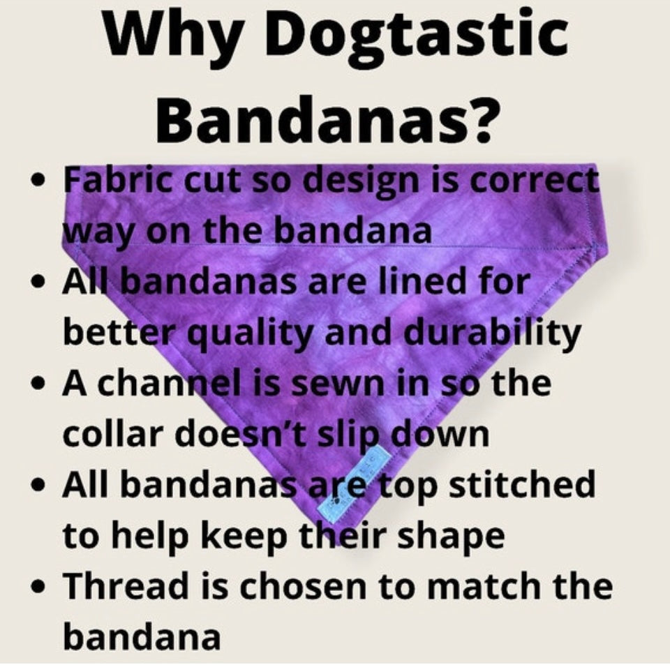 Cobweb dog/pet bandana