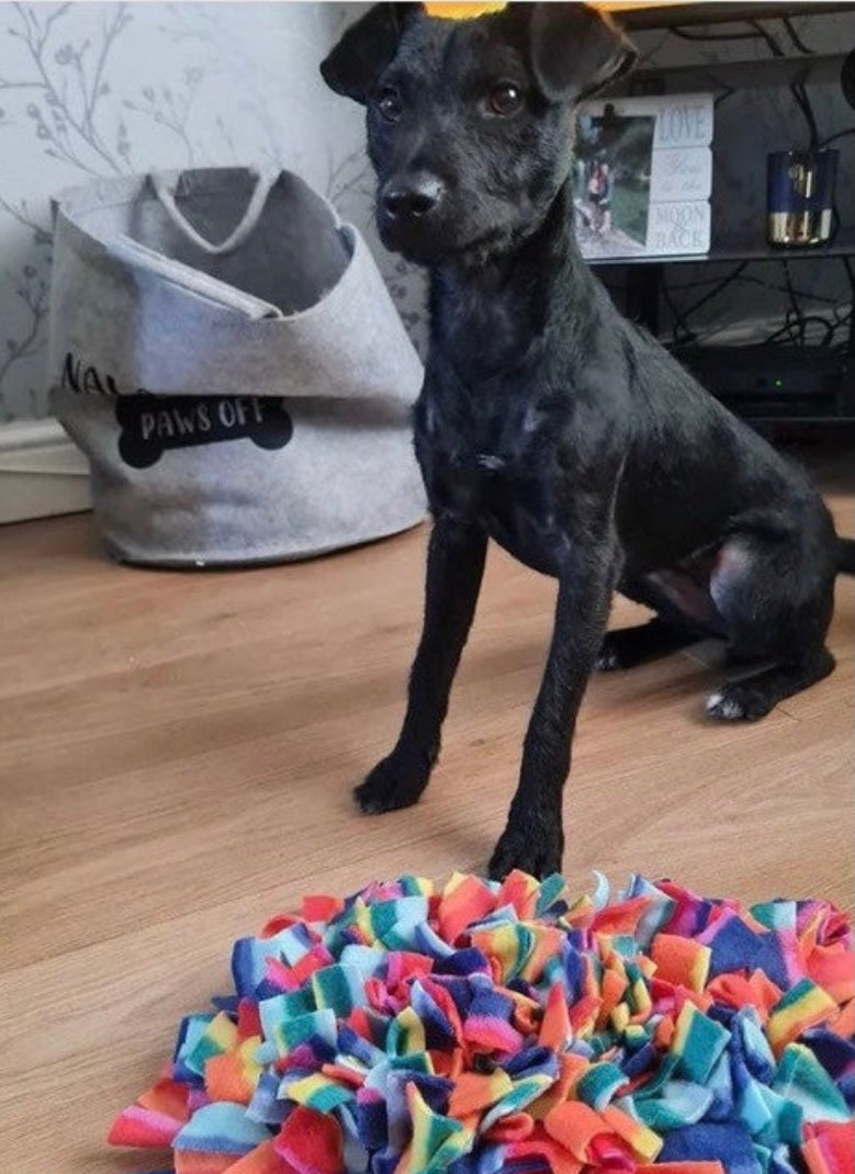 Snuffle mat rainbow enrichment dog toy