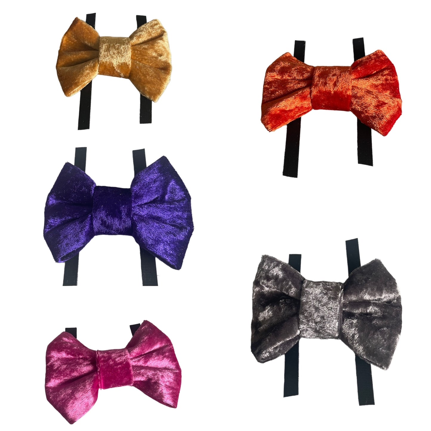 Velvet bows, dog bows