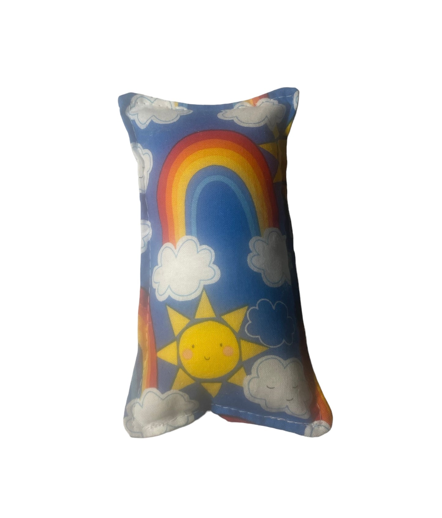 Rainbow cat nip pillow
