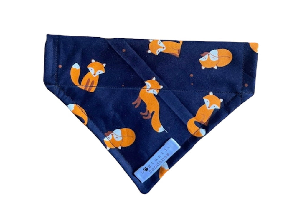 Blue foxy dog/pet bandana