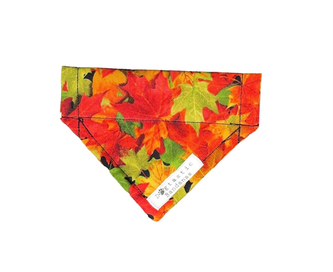 Autumn leaves dog/pet bandana