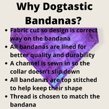 Load image into Gallery viewer, Purple checked  dog/pet bandana
