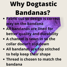 Load image into Gallery viewer, Halloween bandanas dog/pet bandana
