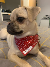 Load image into Gallery viewer, Red tiny heart dog/pet bandana
