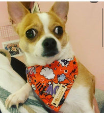 Load image into Gallery viewer, Orange pow dog/pet bandana

