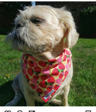 Load image into Gallery viewer, Berry burst dog/pet bandana
