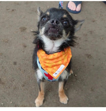 Load image into Gallery viewer, Orange pixel dog/pet bandana
