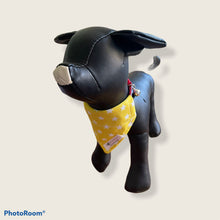 Load image into Gallery viewer, We are all stars dog/pet bandana
