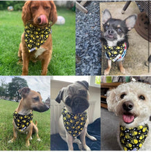 Load image into Gallery viewer, Busy bee dog/pet bandana
