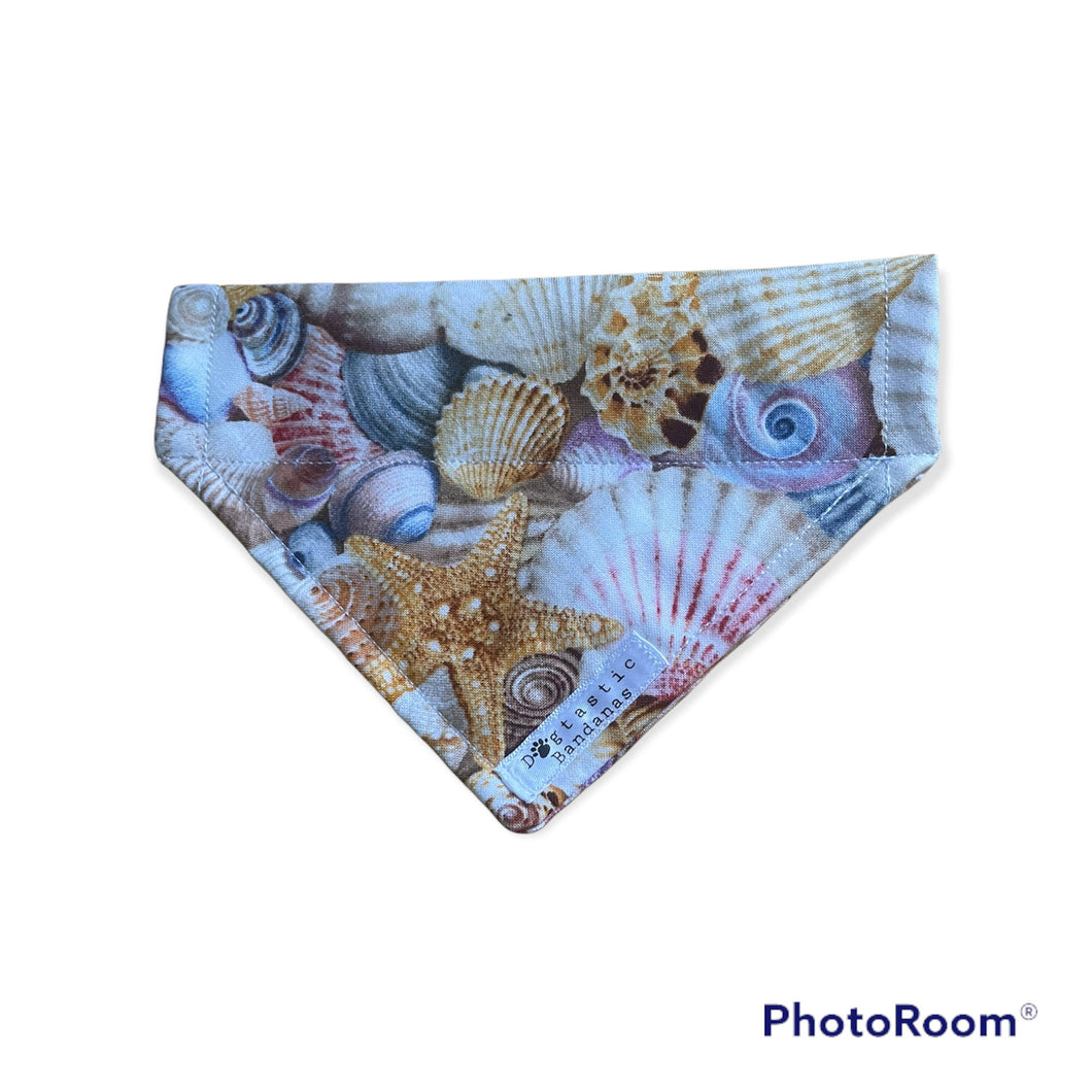 Sea shell dog/pet bandana