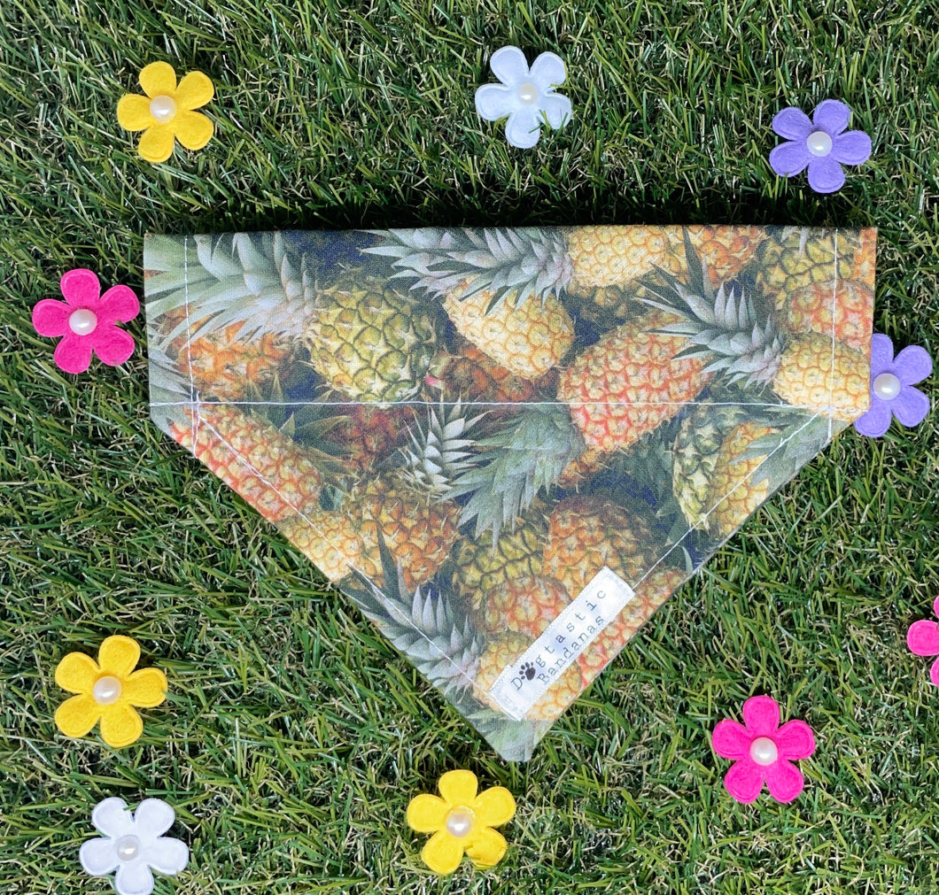 Pineapple dog/pet bandana