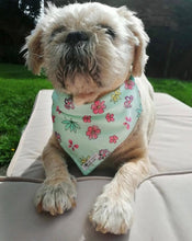 Load image into Gallery viewer, Turquoise flower dog/pet bandana

