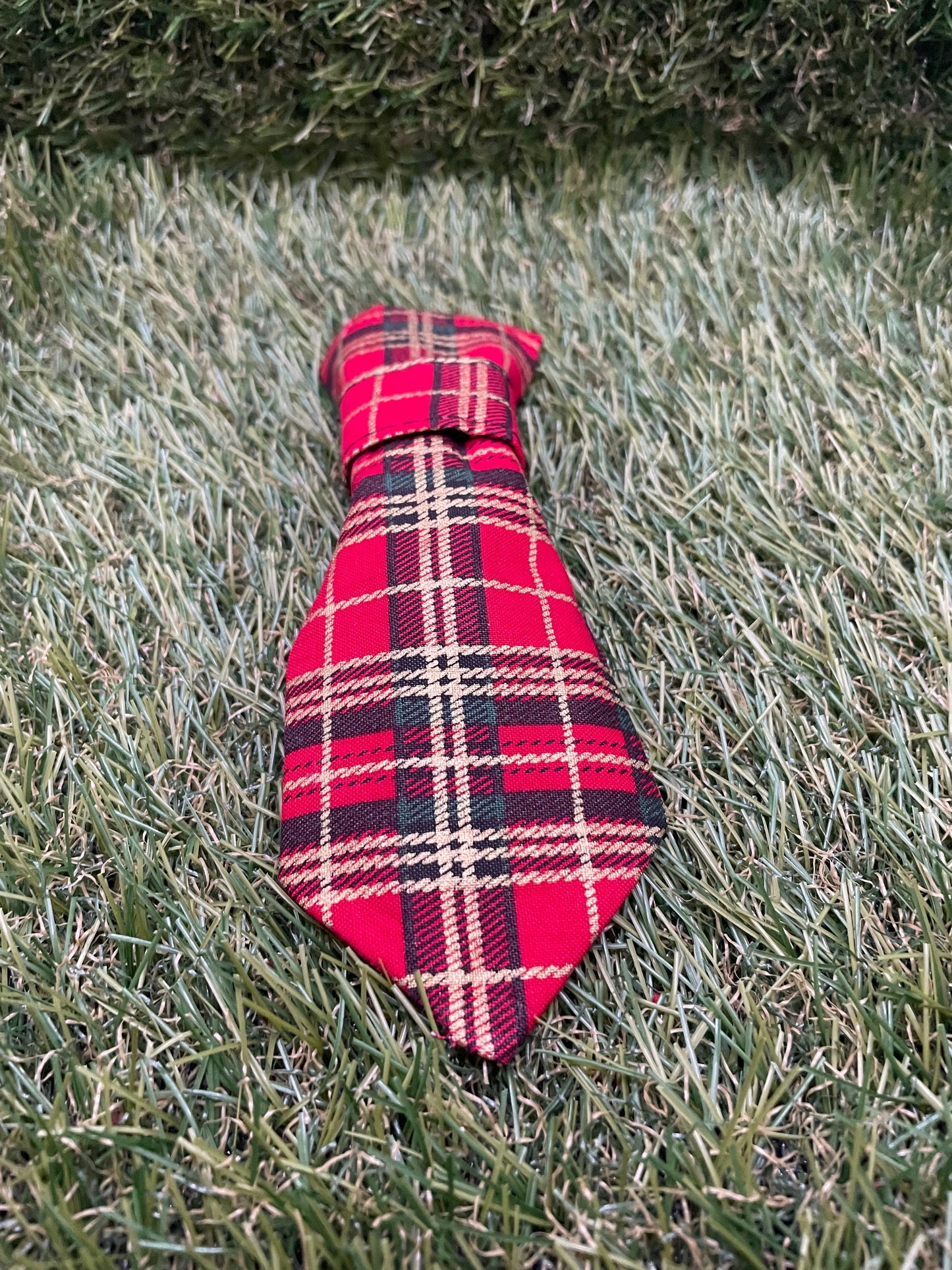 Red tartan tie for on the collar